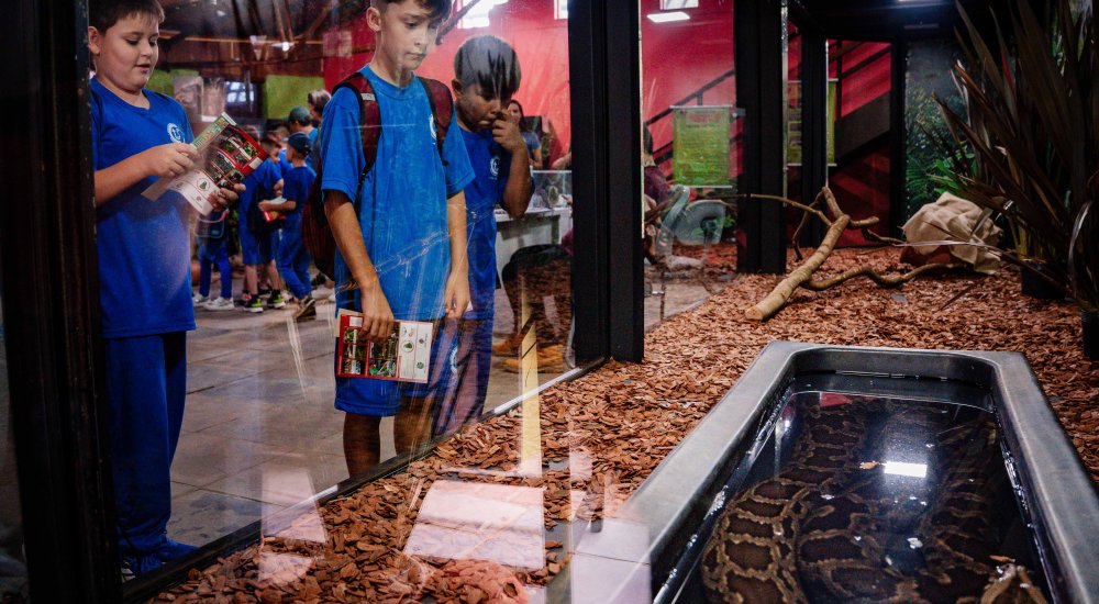 Bosque e serpentes são atrações no Espaço da Natureza